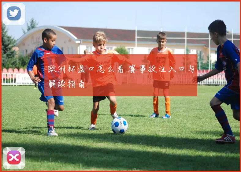 欧洲杯盘口怎么看 赛事投注入口与解读指南