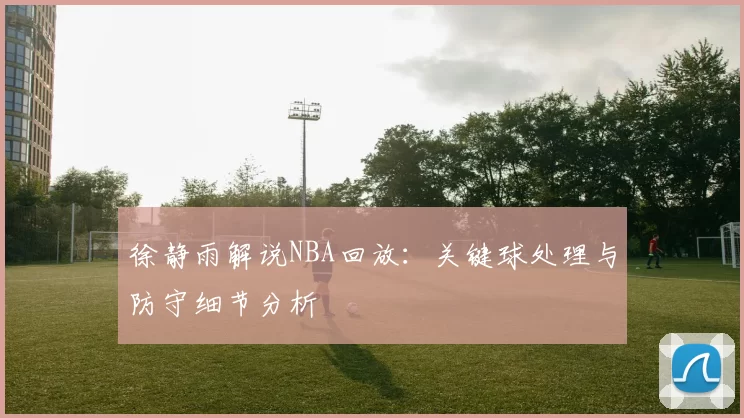 徐静雨解说NBA回放：关键球处理与防守细节分析