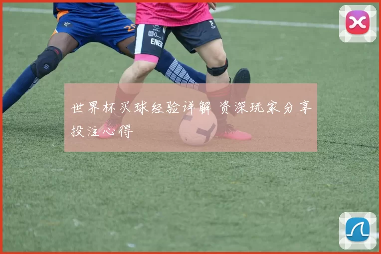 世界杯买球经验详解 资深玩家分享投注心得