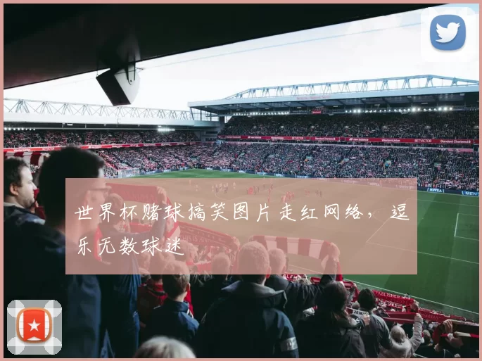 世界杯赌球搞笑图片走红网络，逗乐无数球迷