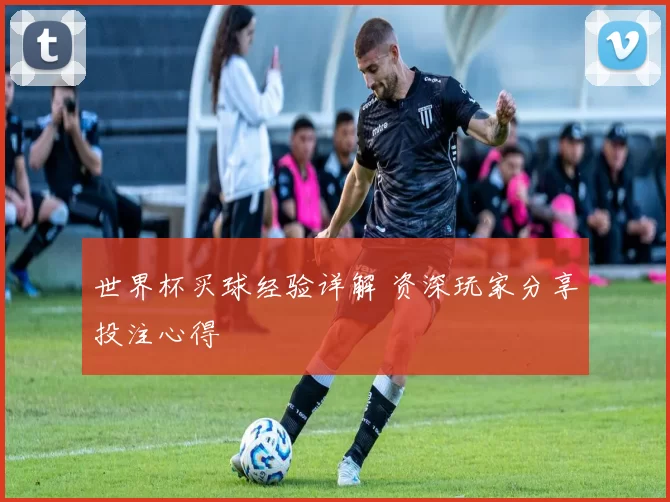 世界杯买球经验详解 资深玩家分享投注心得