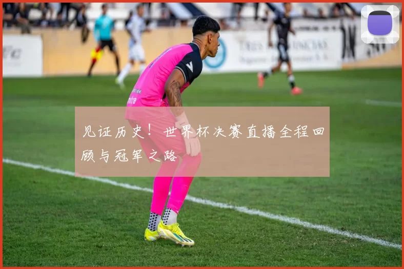 见证历史！世界杯决赛直播全程回顾与冠军之路