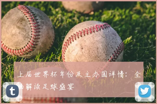 上届世界杯年份及主办国详情:全面解读足球盛宴