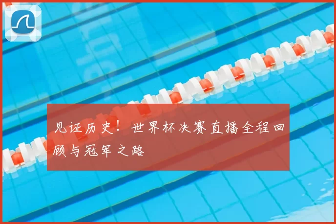 见证历史！世界杯决赛直播全程回顾与冠军之路