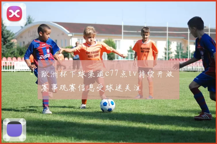 欧洲杯下球渠道c77点tv持续开放 赛事观赛信息受球迷关注