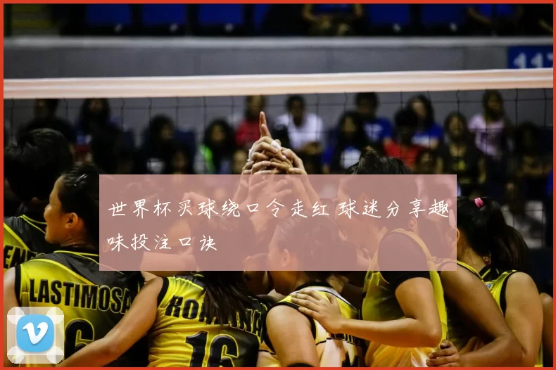 世界杯买球绕口令走红 球迷分享趣味投注口诀