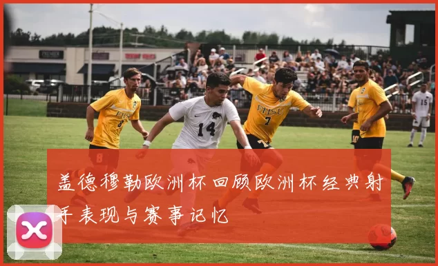 盖德穆勒欧洲杯回顾欧洲杯经典射手表现与赛事记忆